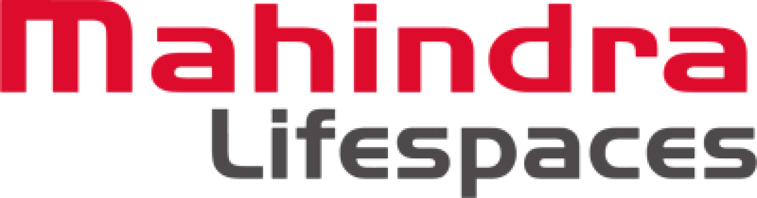 Developer Logo